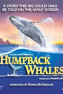 دانلود مستند Humpback Whales 2015