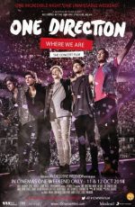 دانلود مستند One Direction: Where We Are – The Concert Film 2014
