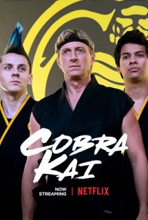 دانلود سريال Cobra Kai 2018