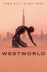 دانلود سريال Westworld 2016