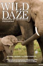 دانلود مستند Wild Daze 2020
